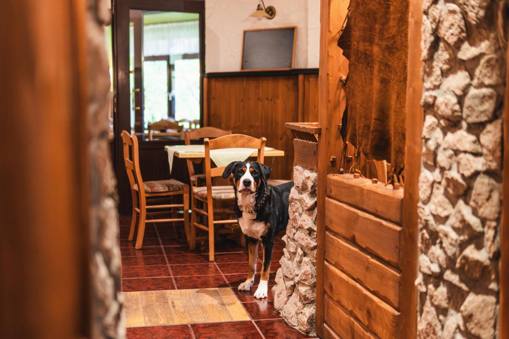 Gasthof Und Pension Hammerschaenke Wildenthal Exteriér fotografie